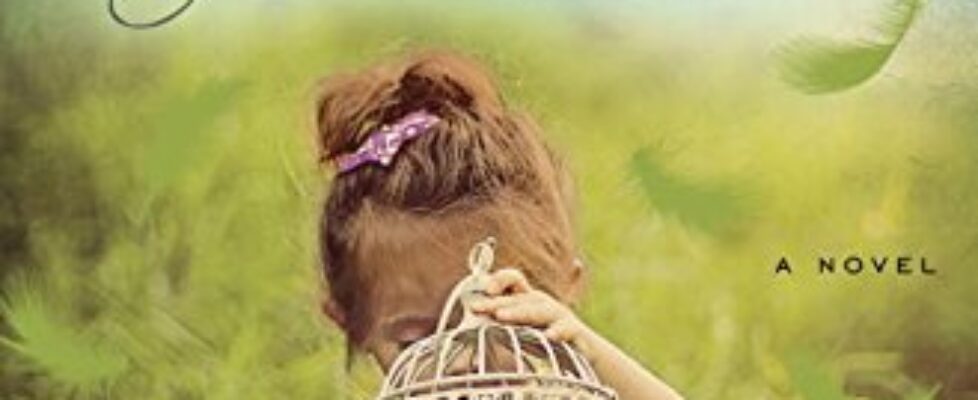 WeNeverAskedforWings